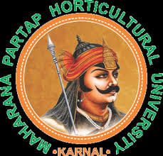 MHU Event and Building photo 4